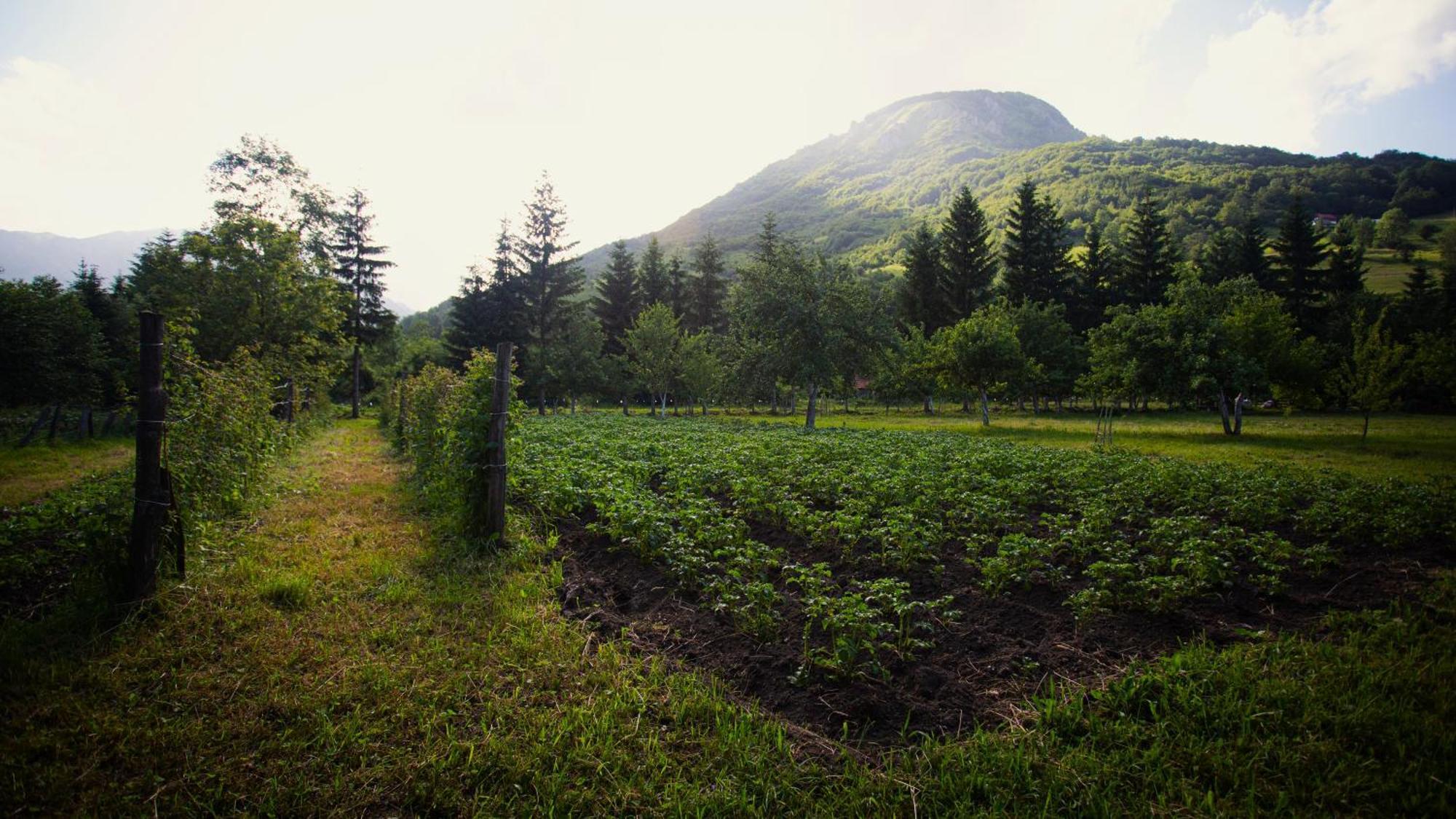 Ethno Village Stitarica Mojkovac Exterior foto