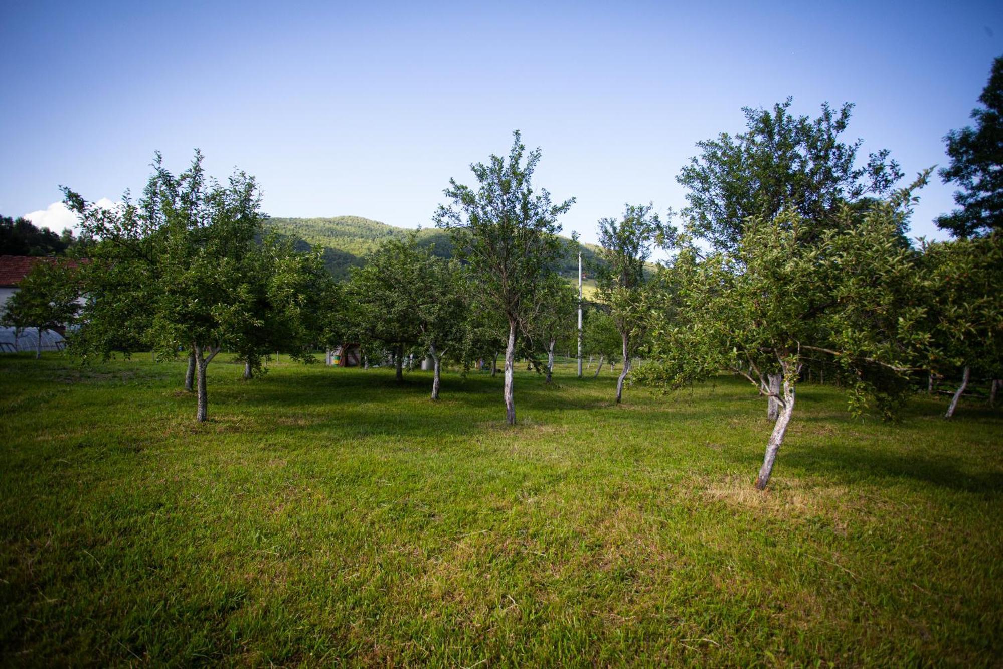 Ethno Village Stitarica Mojkovac Exterior foto
